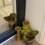 Apartmán Avantgarde *