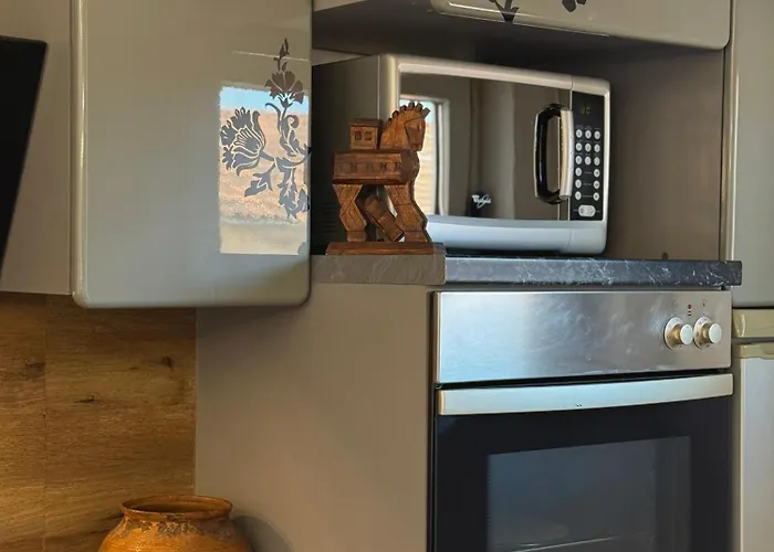 公寓 Avantgarde 扎达尔