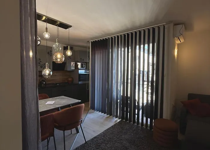 Avantgarde 扎达尔